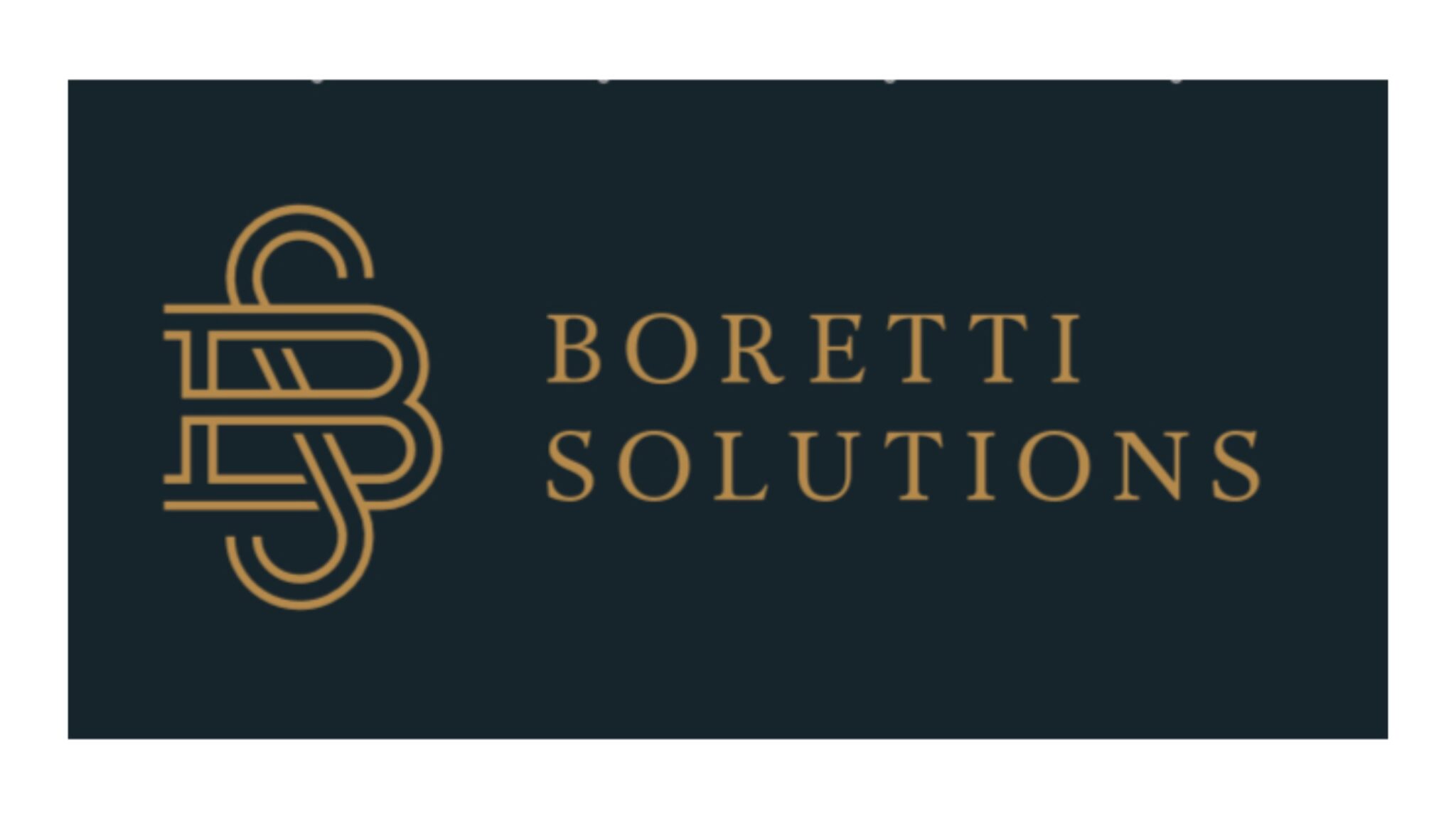 Boretti_Solutions